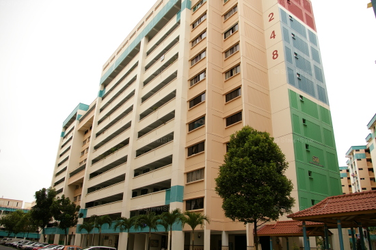 Blk 248 Bukit Batok East Avenue 5 (Bukit Batok), HDB 4 Rooms #334282